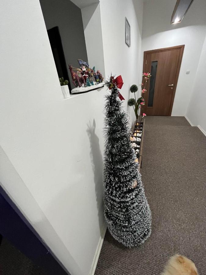 Stari Zajecar Apartments Екстер'єр фото