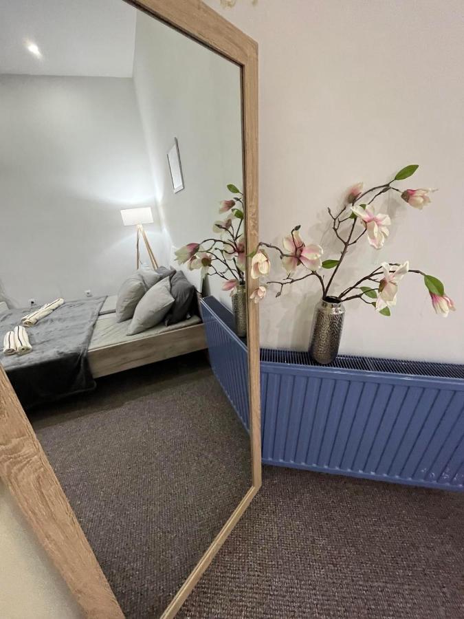 Stari Zajecar Apartments Екстер'єр фото