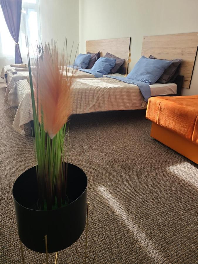 Stari Zajecar Apartments Екстер'єр фото