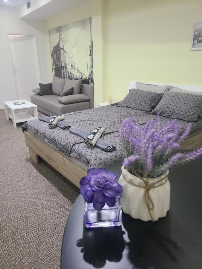 Stari Zajecar Apartments Номер фото