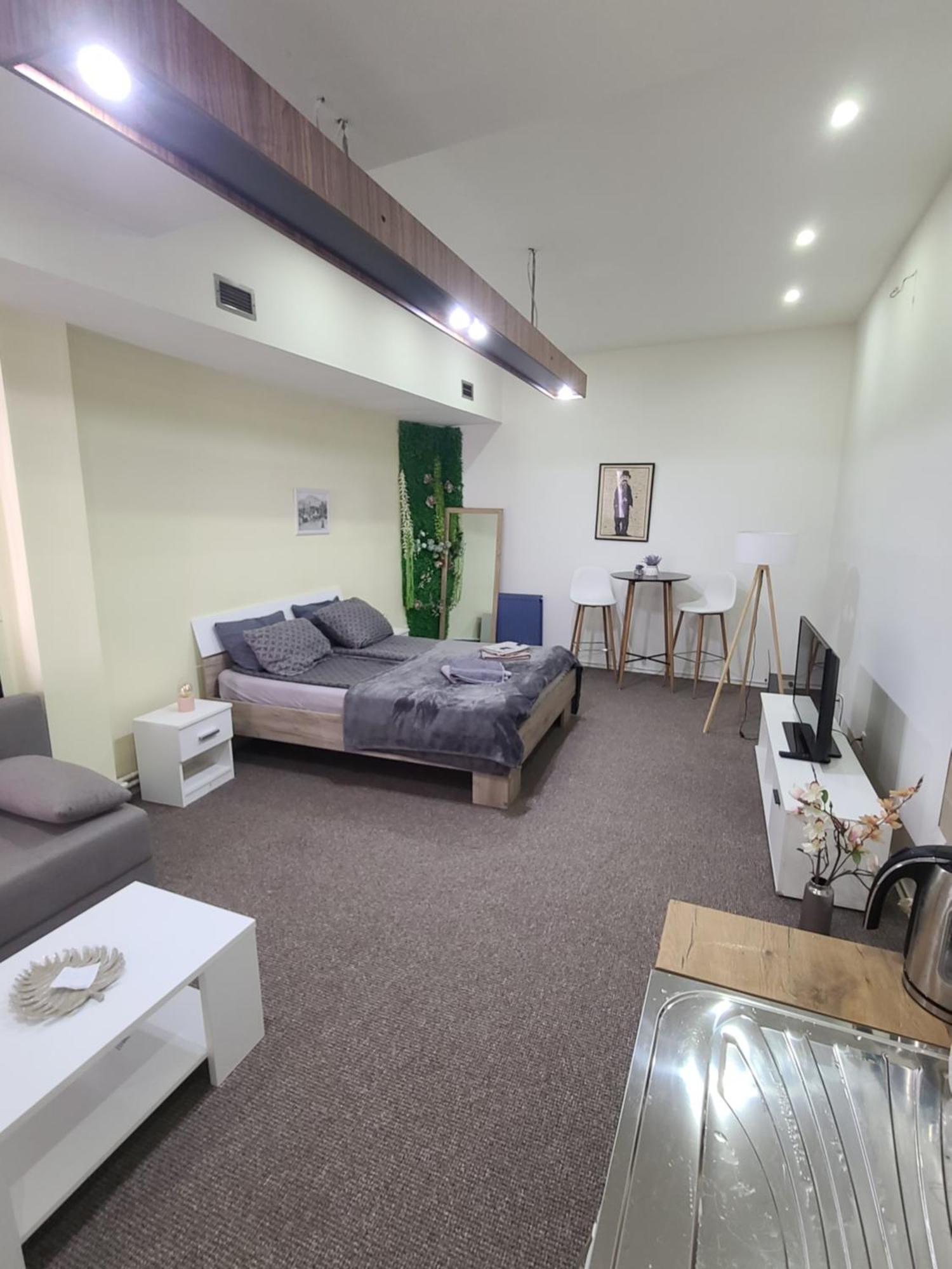 Stari Zajecar Apartments Номер фото