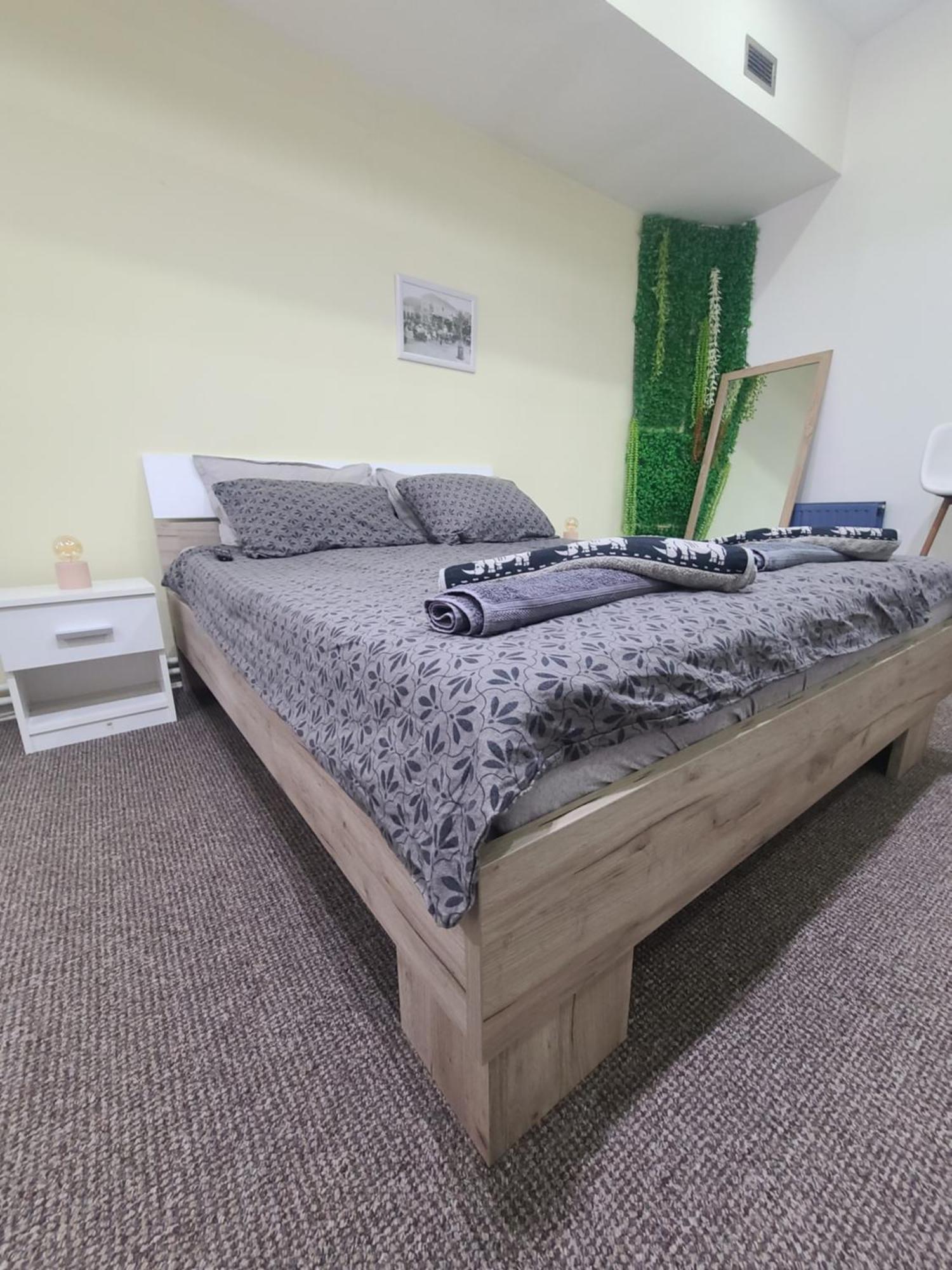 Stari Zajecar Apartments Номер фото